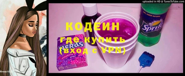 тгк Гусев