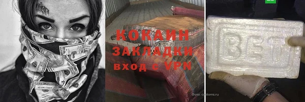 тгк Гусев