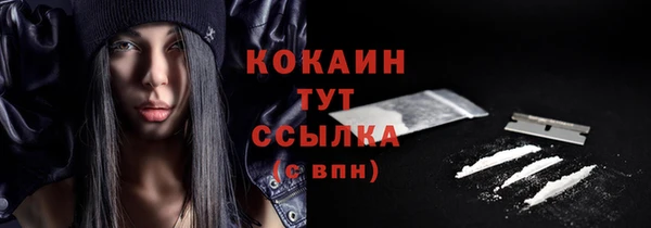 тгк Гусев