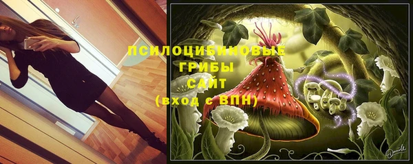 mdpv Гусиноозёрск