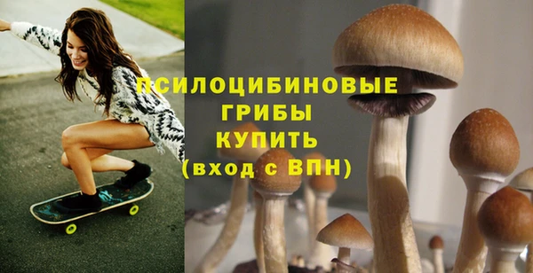 mdpv Гусиноозёрск